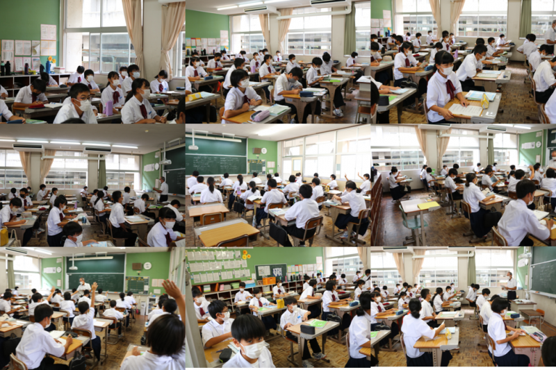 9.251年生