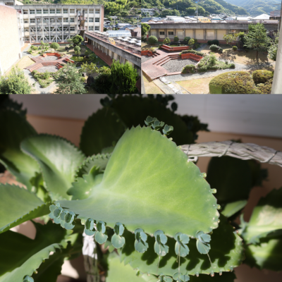 10.1環境