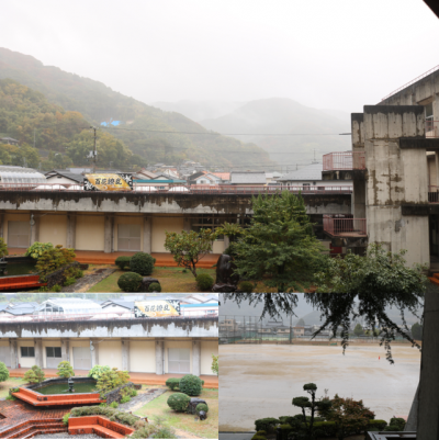 11.6雨