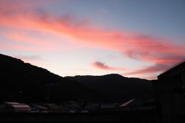 11.8朝