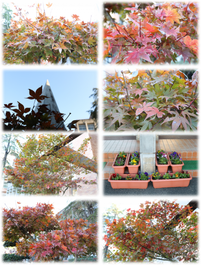 11.22玄関1