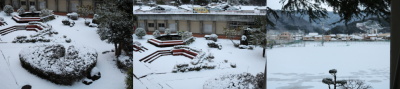 1.24雪