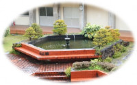 3.5雨