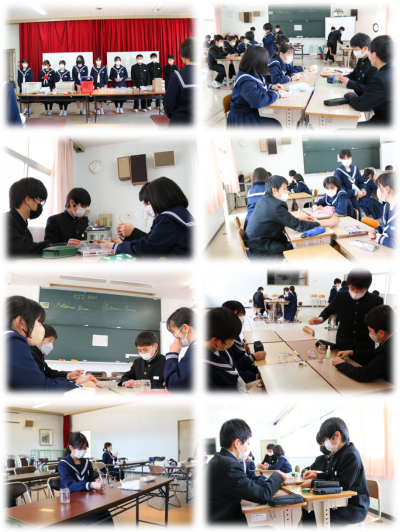 3.11かめあかり1