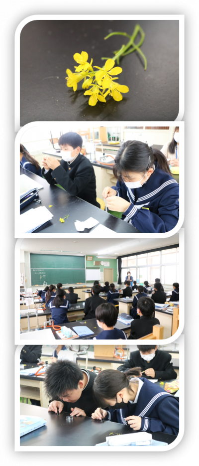 4.18１年理科