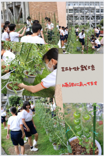 6.182年技術