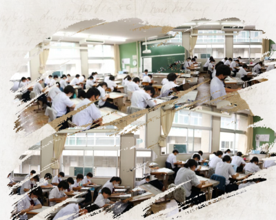 6.282年