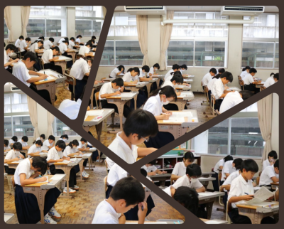 6.281年
