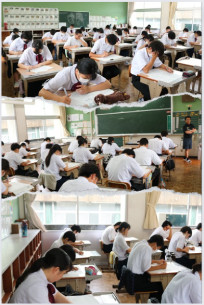 7.13年保体