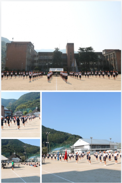 9.9体育1