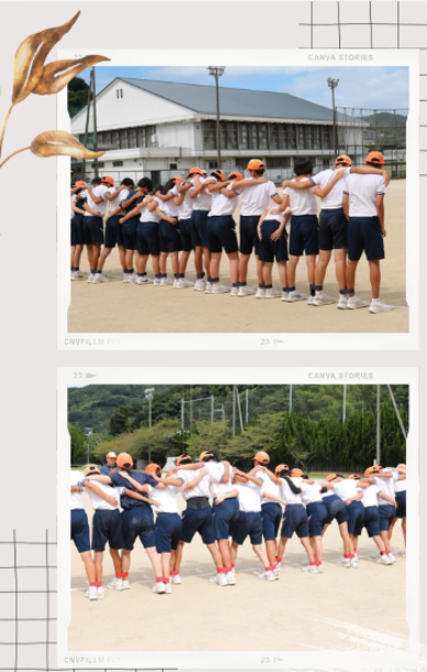 9.10体育6