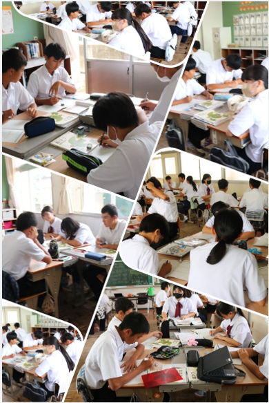 9.243年数学