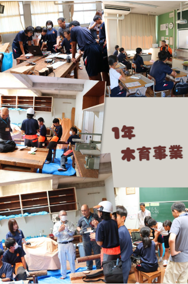 9.241年木育