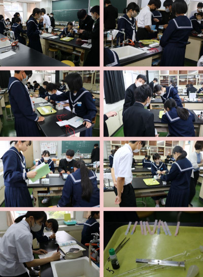 3年 (5)
