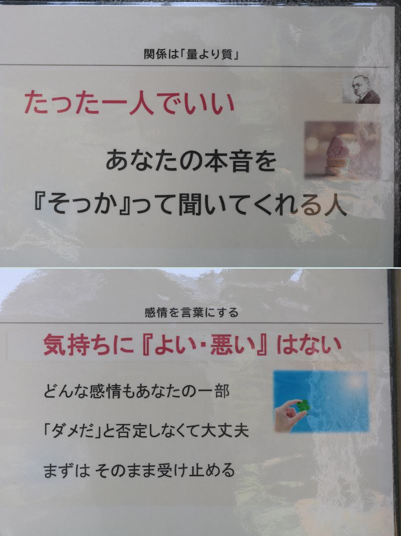 １年生 (5)