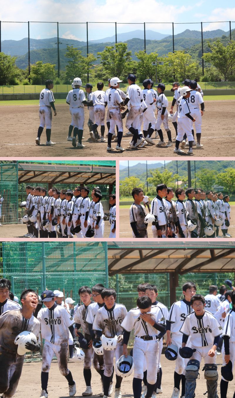 野球 (3)